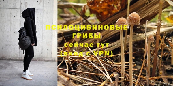Альфа ПВП Медвежьегорск