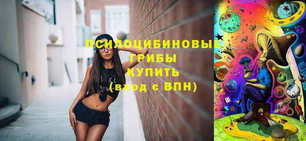 ПСИЛОЦИБИНОВЫЕ ГРИБЫ Долгопрудный