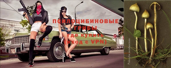 Альфа ПВП Медвежьегорск