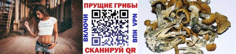 Галлюциногенные грибы мухоморы  mega как войти  Обнинск  наркотики 