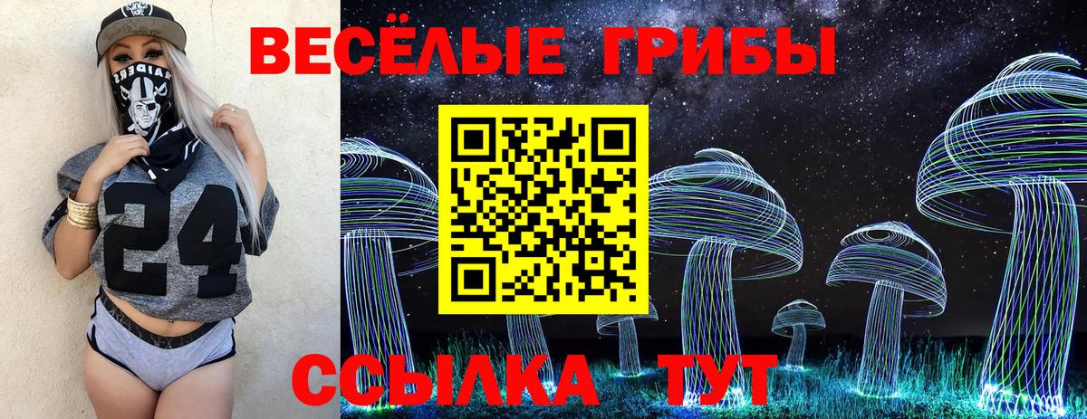 Галлюциногенные грибы Psilocybe Обнинск