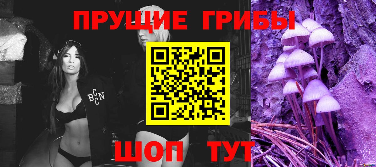 Псилоцибиновые грибы MAGIC MUSHROOMS  Галлюциногенные грибы мицелий  Обнинск 